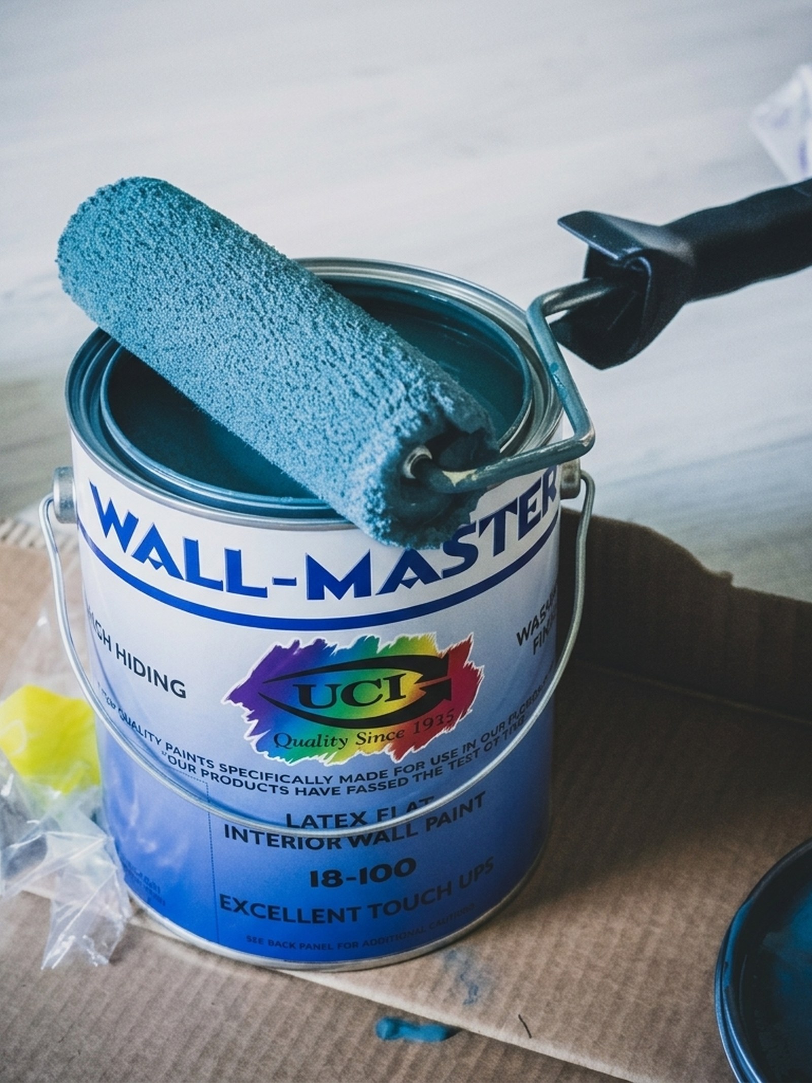 How to Prevent Paint from Blistering in Florida
