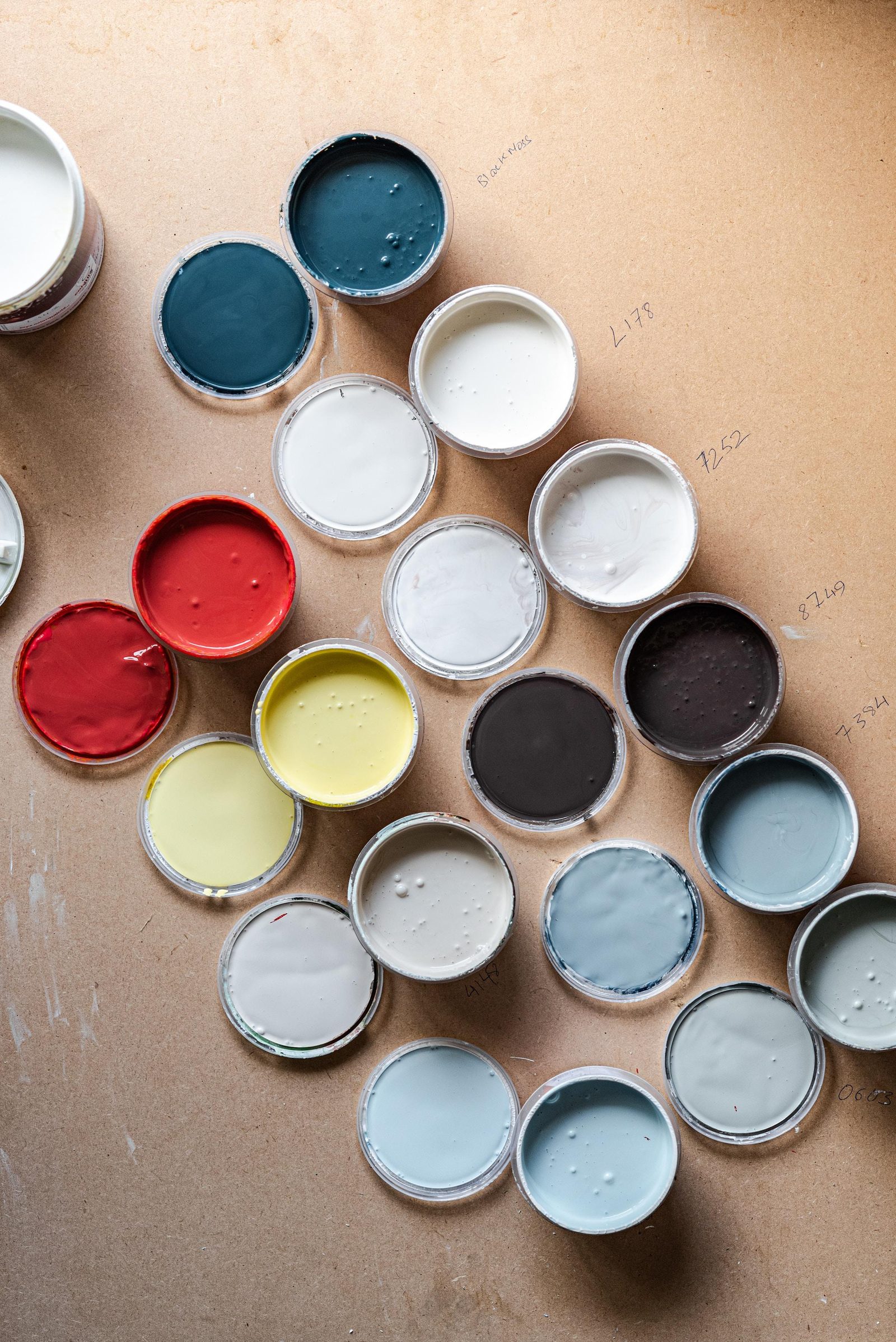 Are Hard Shell Paint and Enamel Paint the Same?