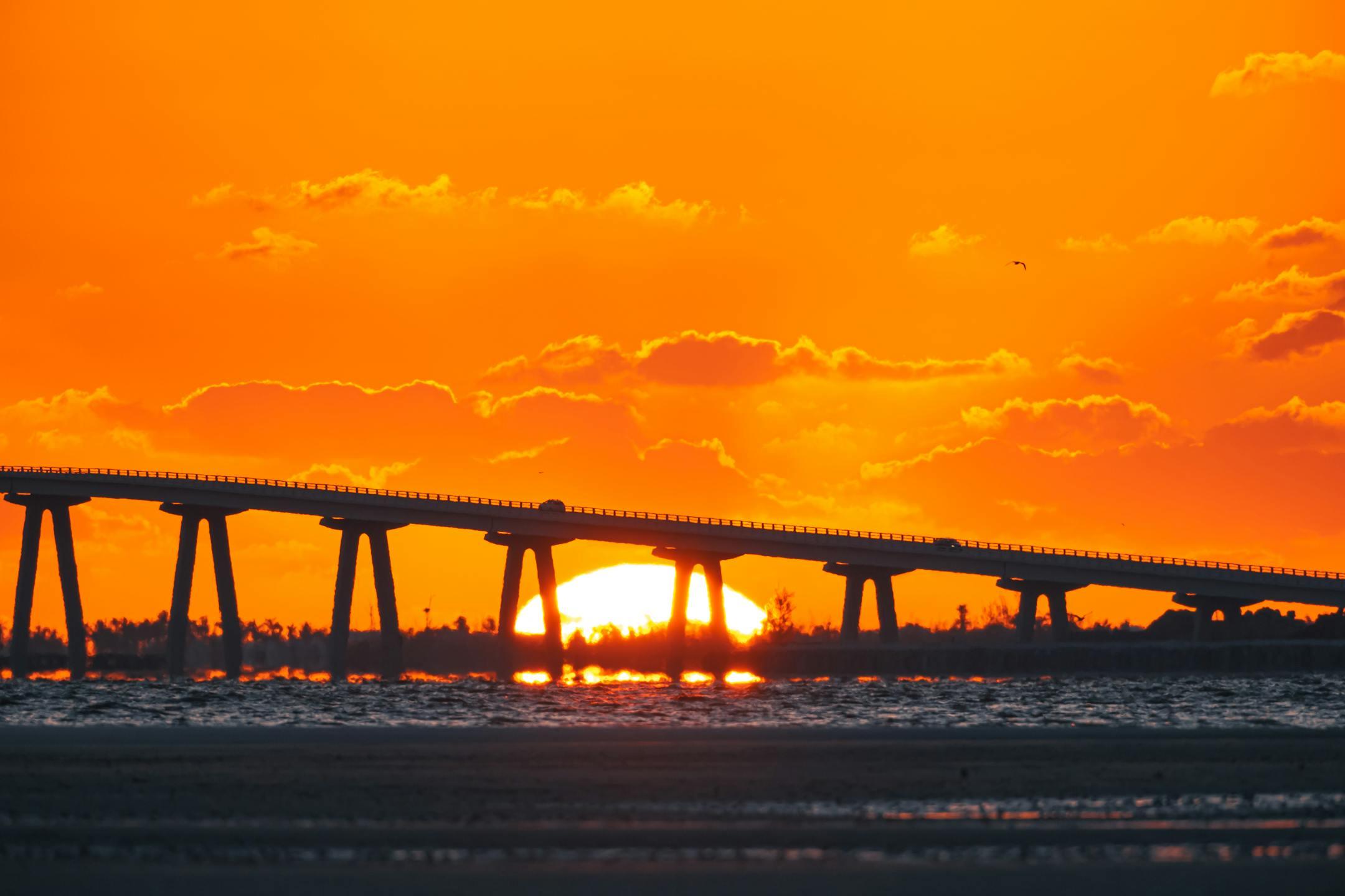 Trending Florida Colors for 2026