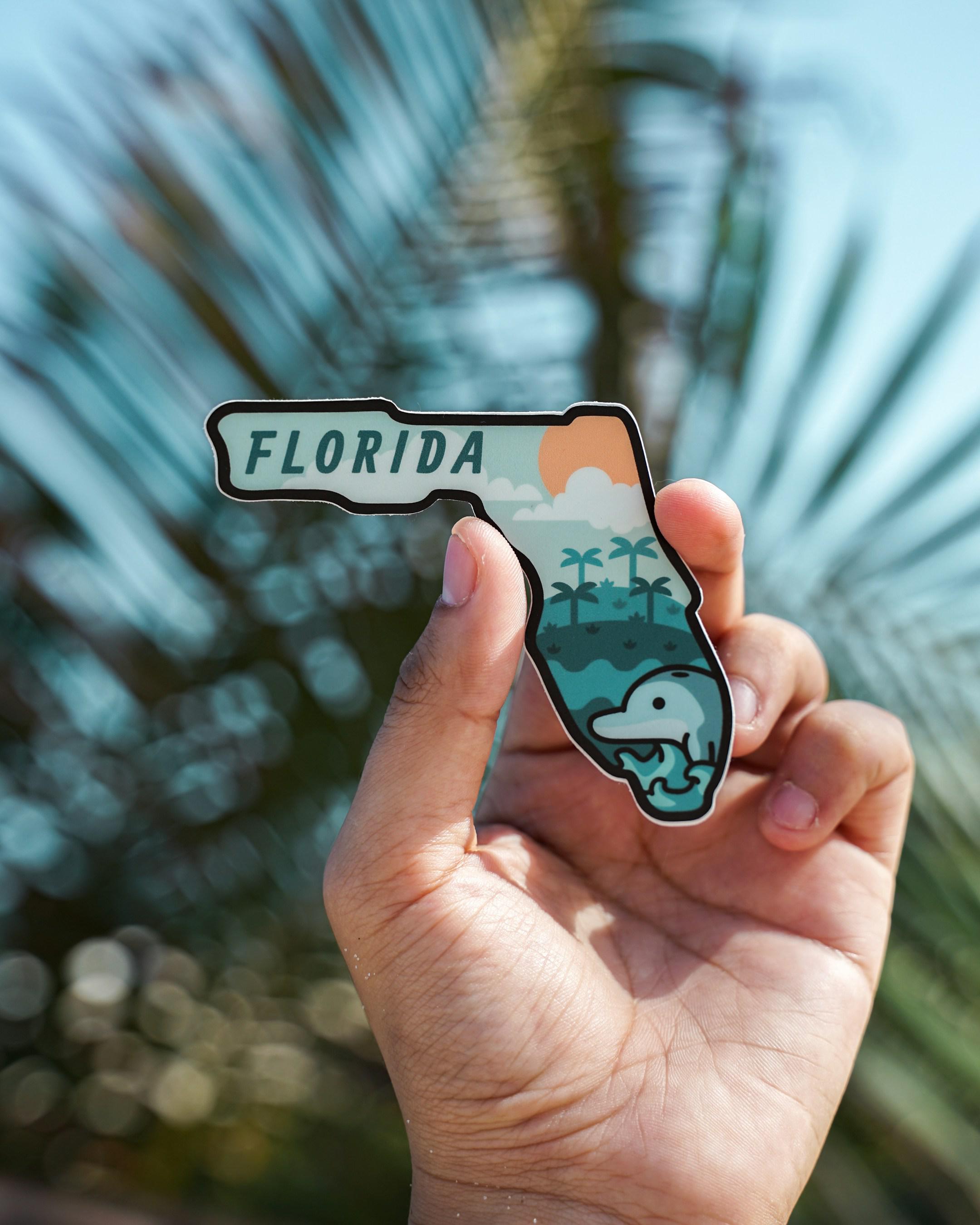 Florida Paint 2025: Stylish and Sustainable