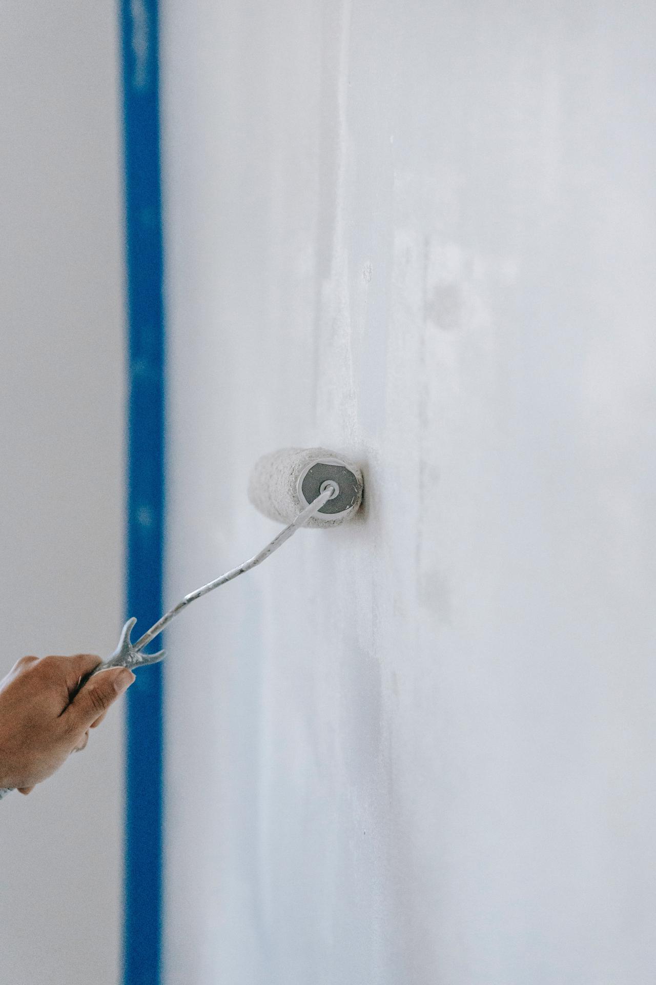 Paint inspection