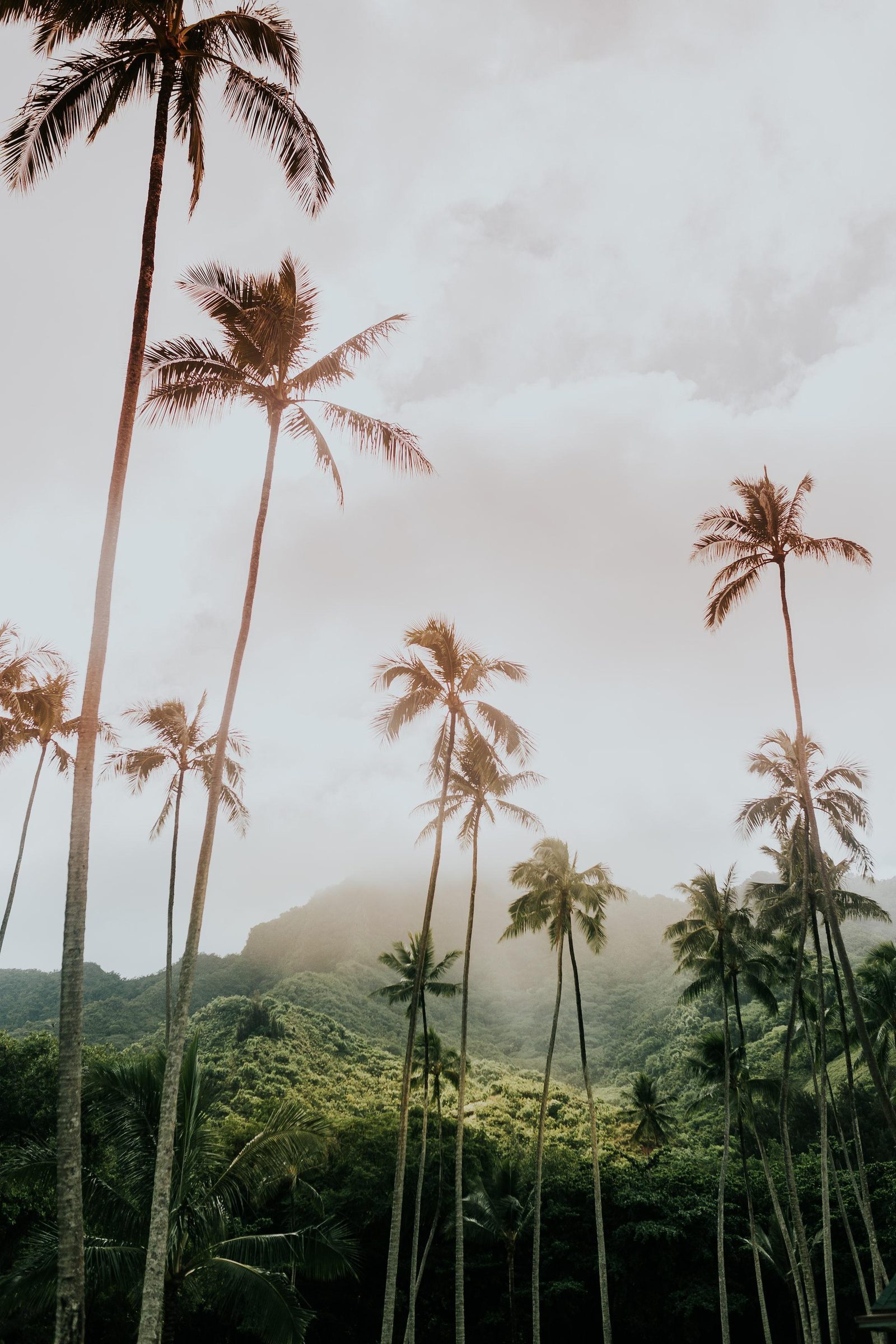 What are exterior coatings for tropical climates?