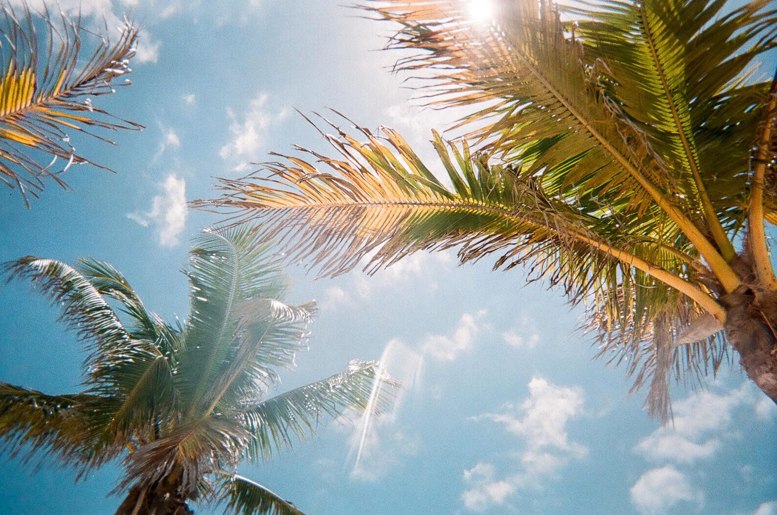 Freeport Film
