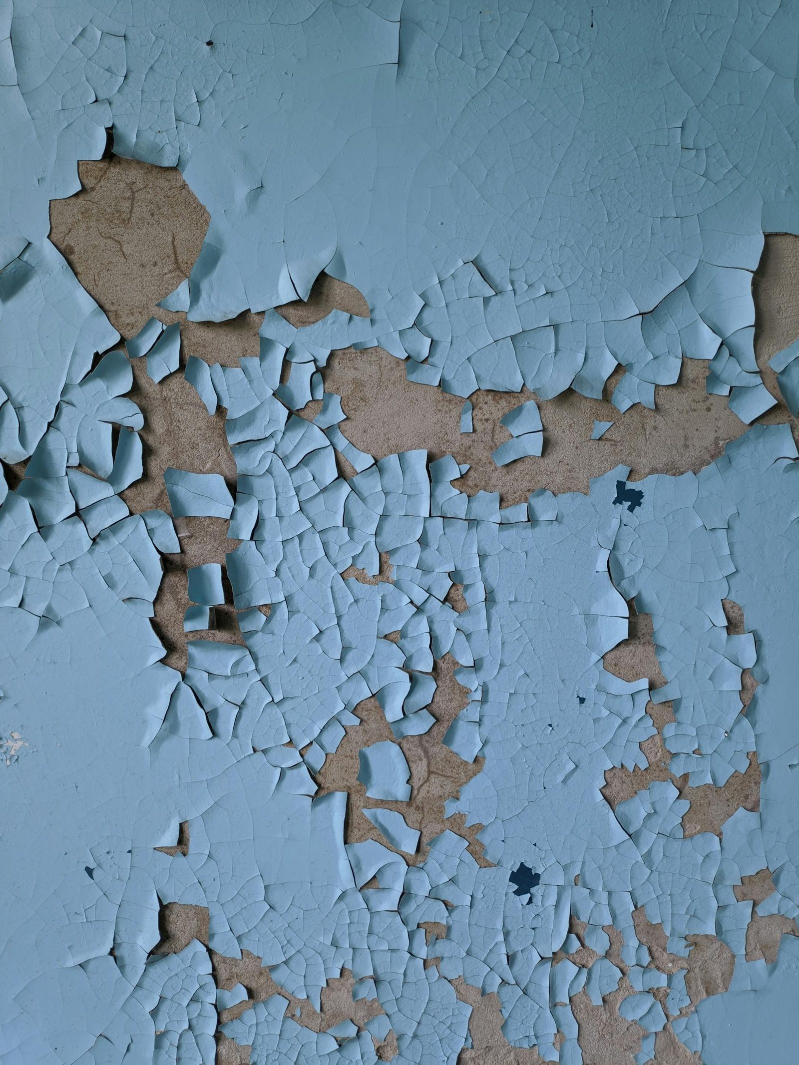 How Florida Paints Make Maintenance Easier