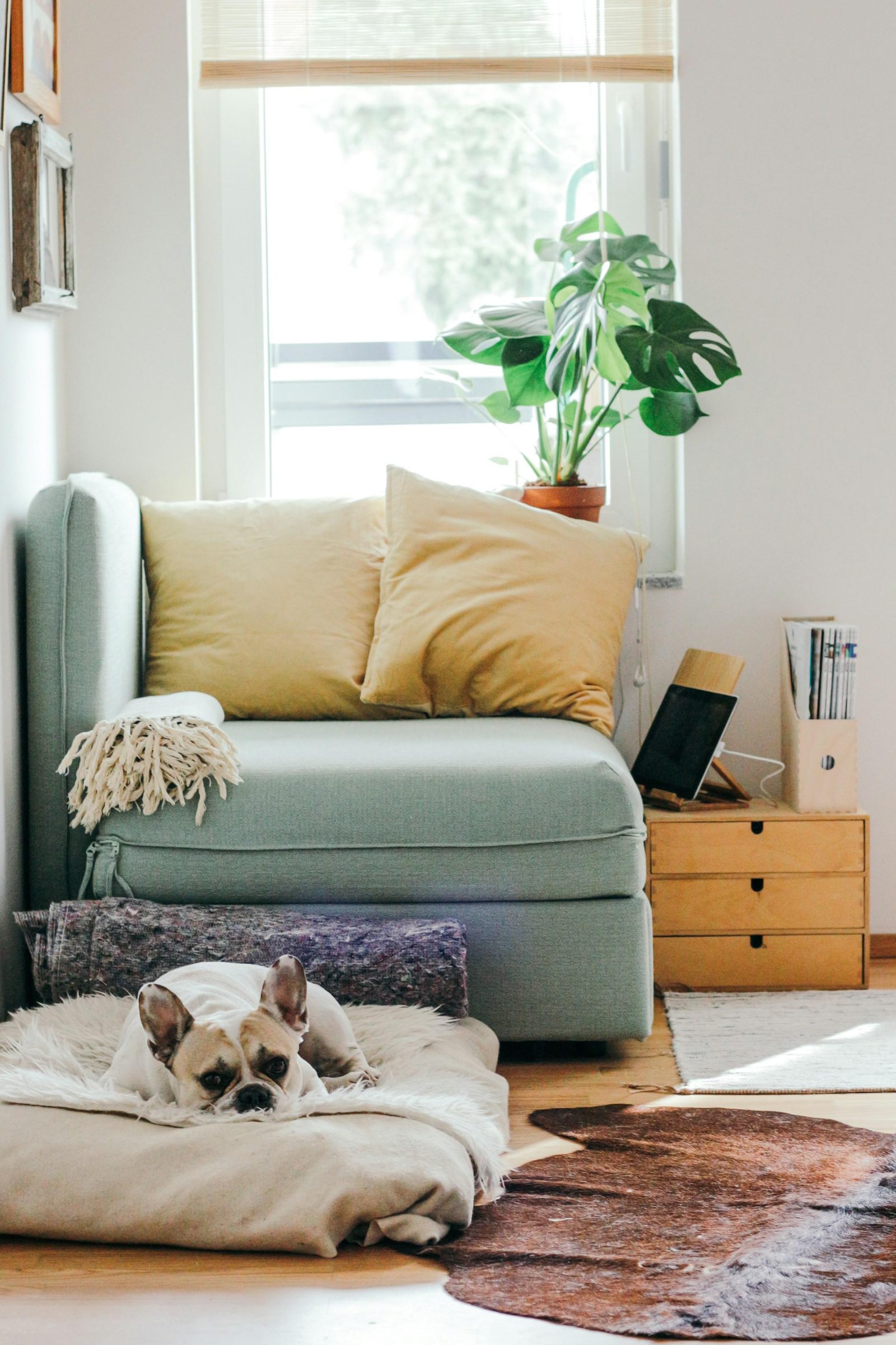 Home Maintenance: Your Yearly Paint Upkeep Schedule